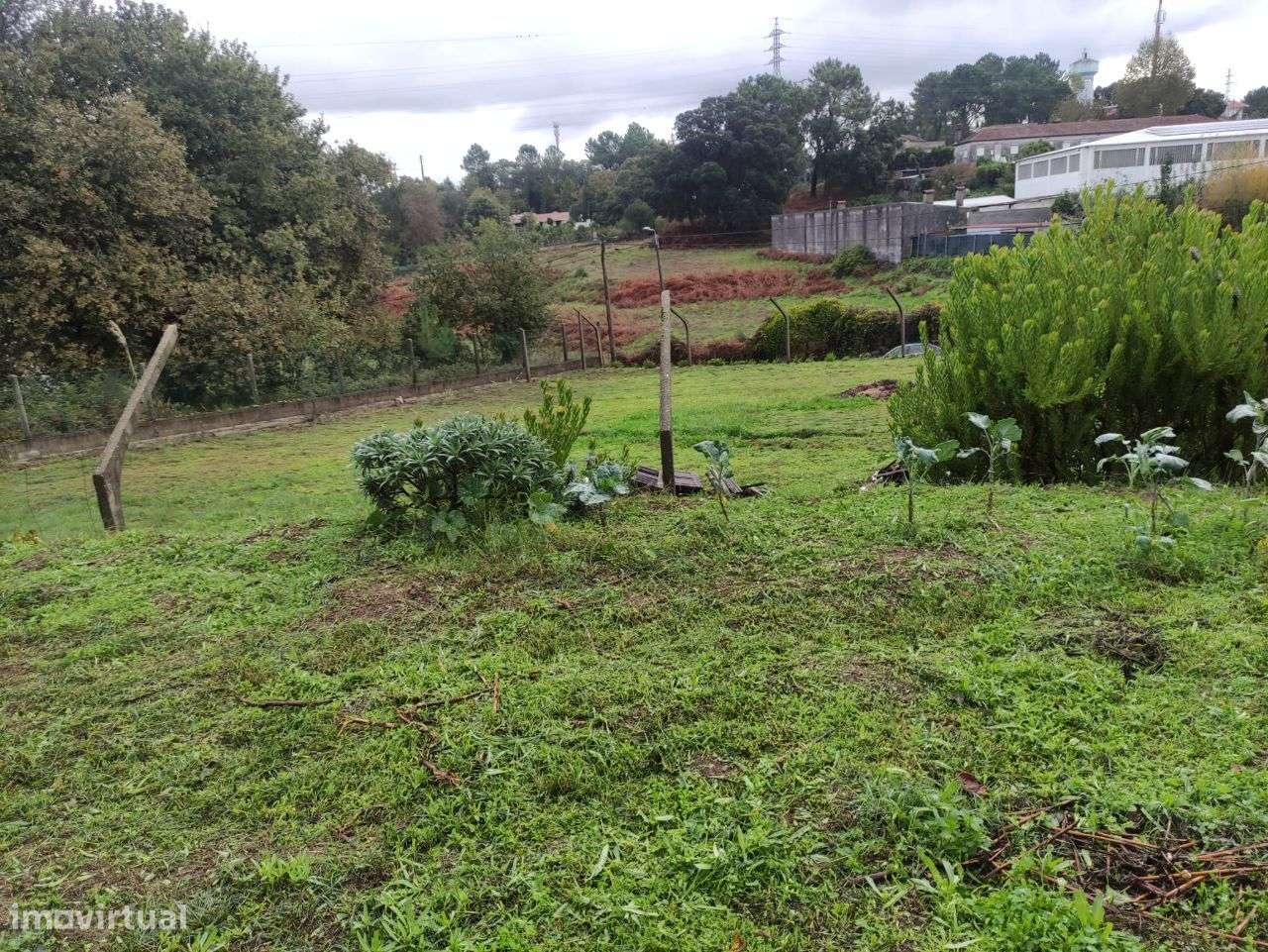 Terreno, 12 830 m², Oliveira de Azeméis, Santiago de Riba-Ul, Ul, Macinhata da Seixa e Madail-3