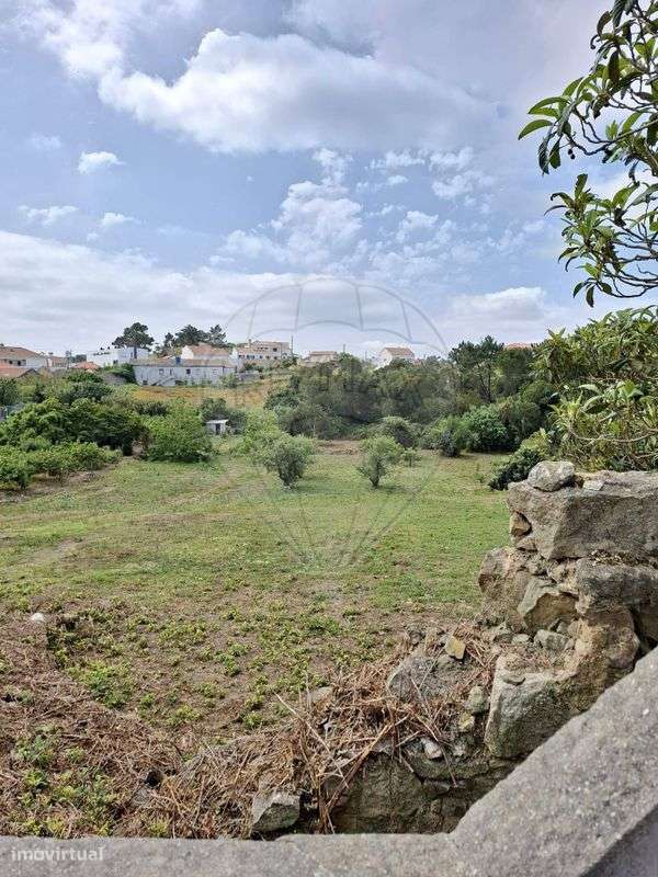 Terreno  para venda - Grande imagem: 4/4