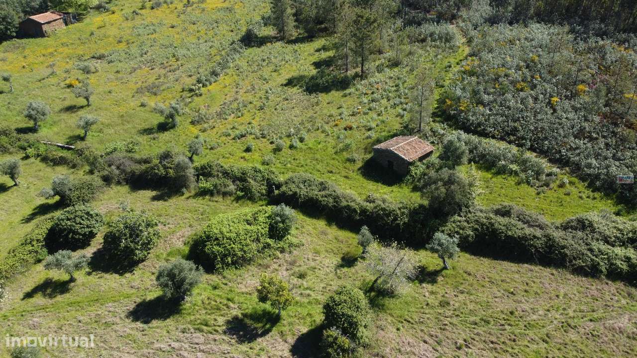 Quinta em Amarelos - 15 min. Castelo Branco - Grande imagem: 3/23