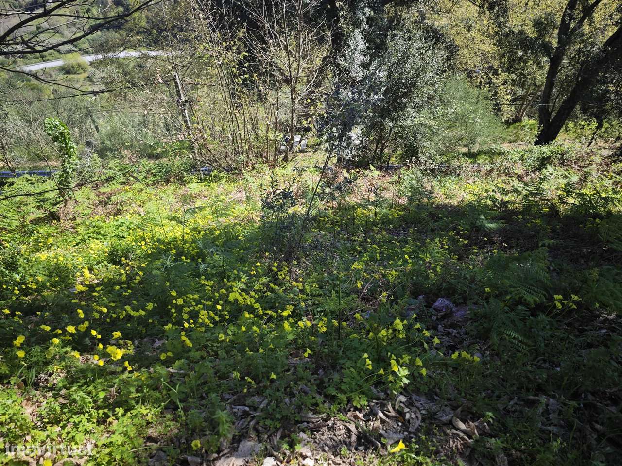 Moradia à Venda em Lamelas, Santa Marinha do Zêzere, Baião-17