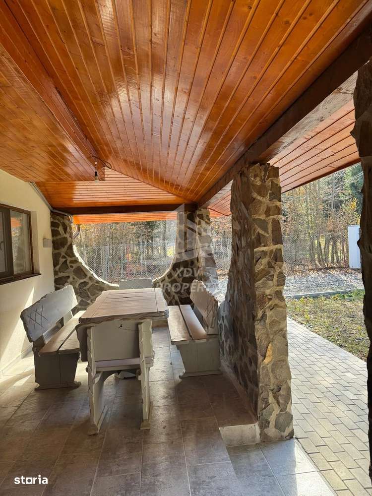 Pensiune/ Vila Valea Avrigului-6