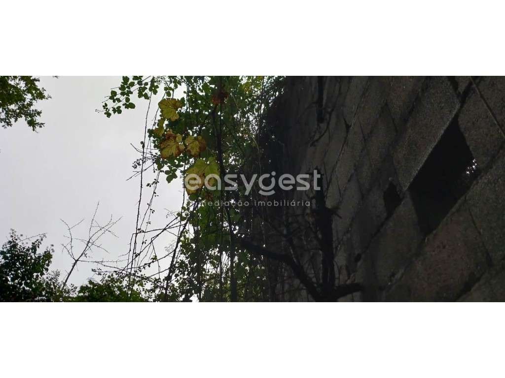 Espetacular terreno agrícola localizado em Aval-Bodiosa-Viseu-Portugal - Grande imagem: 4/15