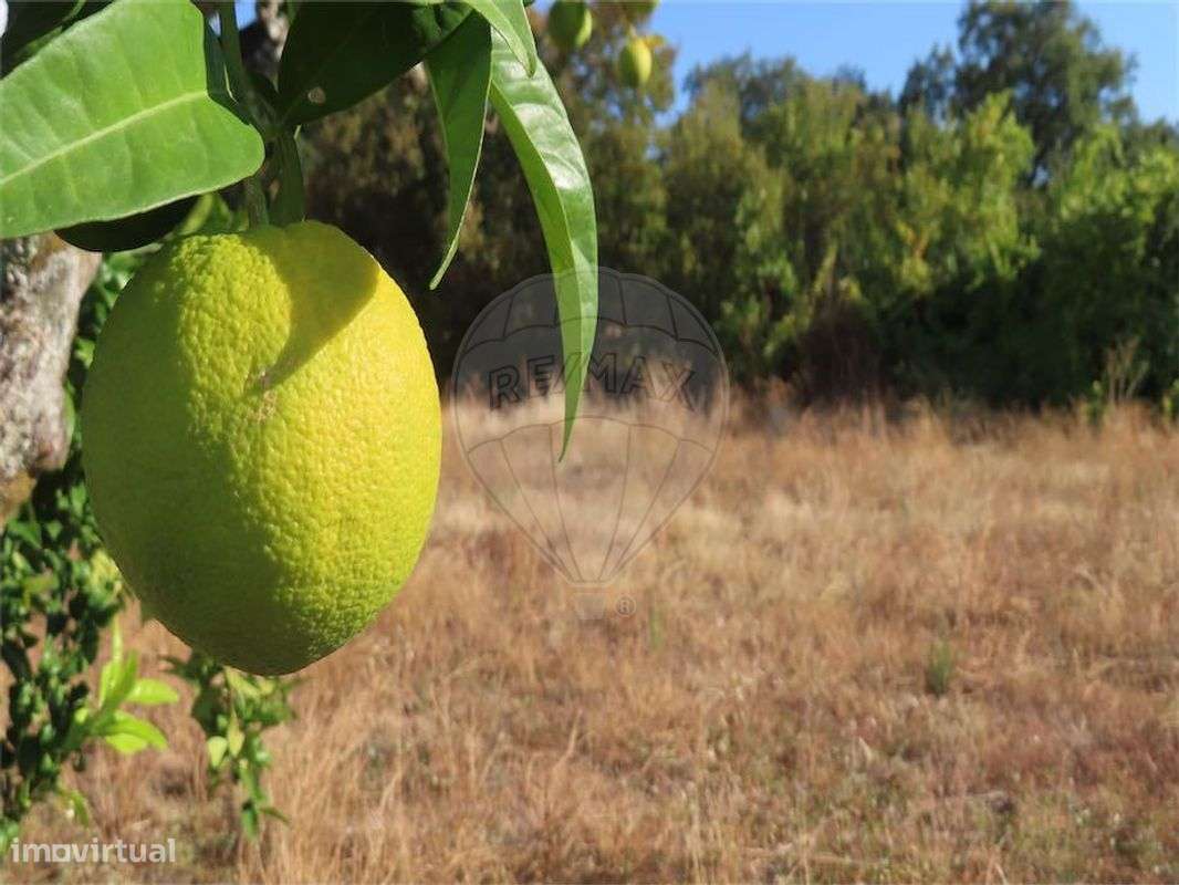 Quinta  para venda - Grande imagem: 4/28