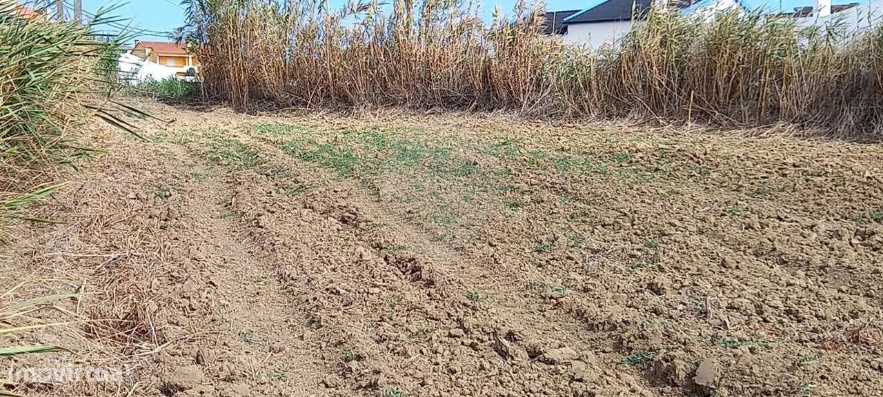 Terreno  para venda - Grande imagem: 4/6