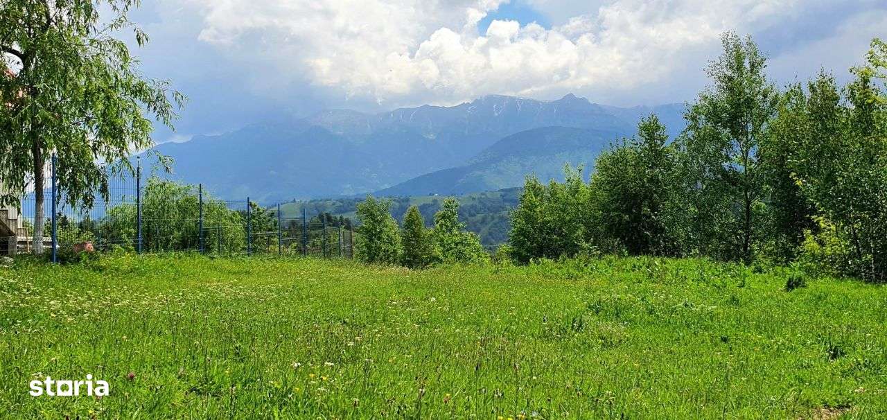 Teren casa de vacanta , Pestera , Brasov-17