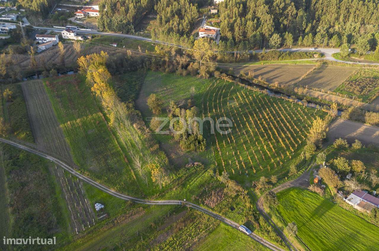 Godes - Terreno agrícola à beira rio c/ 4.819 m², em Sobreira - Grande imagem: 5/15