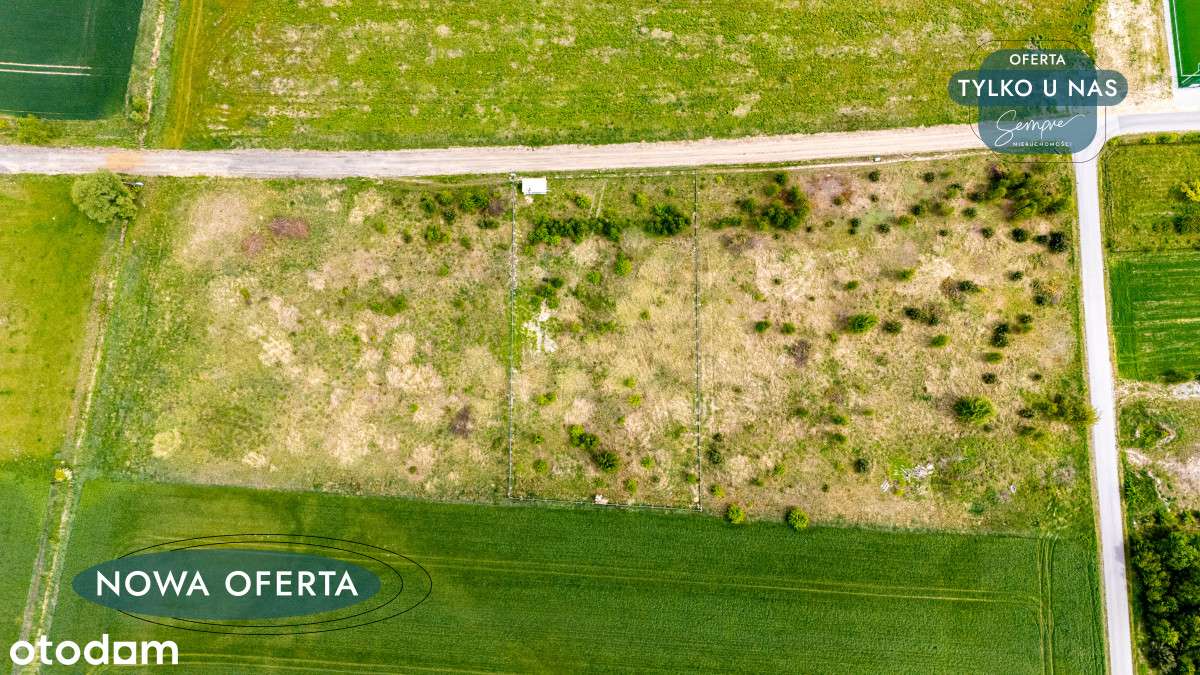 Działka 3000mk Kazimierz blisko szkoły - Pełny obrazek: 5/10