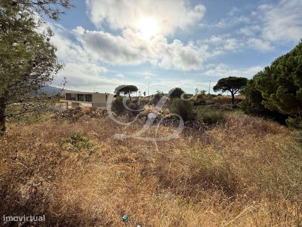 Lote de Terreno p/construção com 455 m2 | Sintra - Grande imagem: 5/13