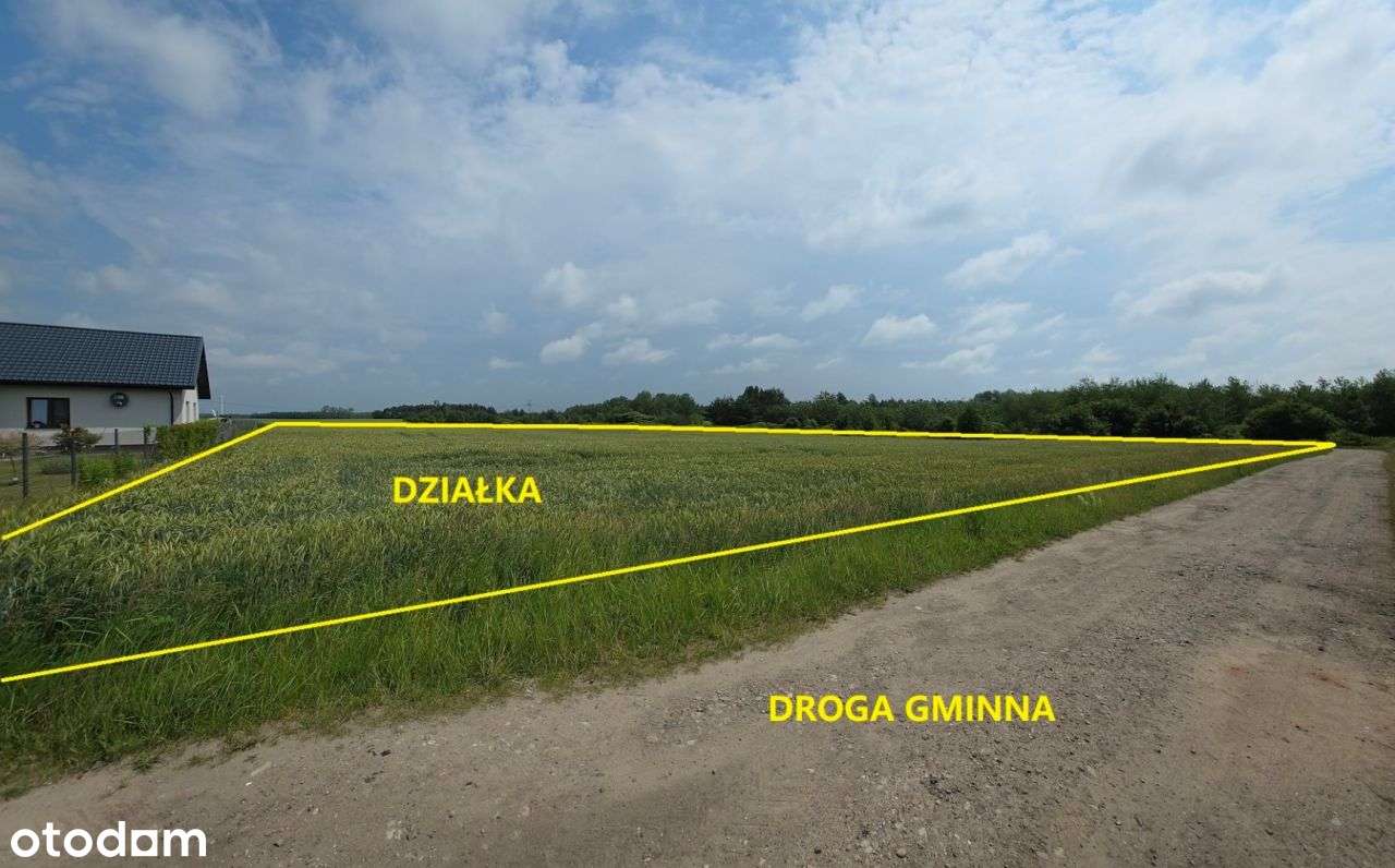 Działka, 12 600 m², Gołębiewek Nowy - Pełny obrazek: 5/5