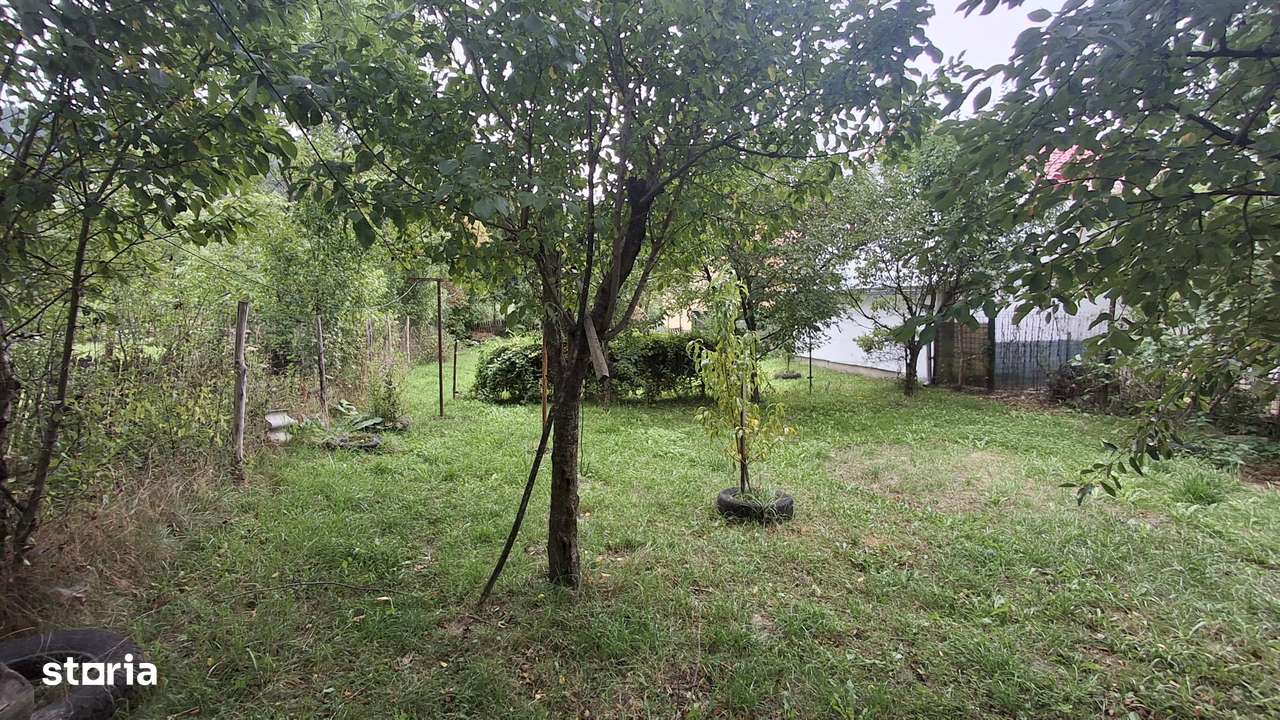 Casa de vacanta/Ideal Investitie-Valea Doftanei - Imagine principală: 5/11