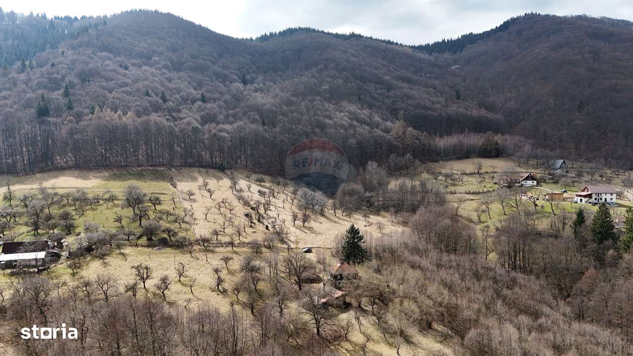 16 E+TVA/mp: Teren Bran Predelut 24253 mp intravilan proiect turistic-3