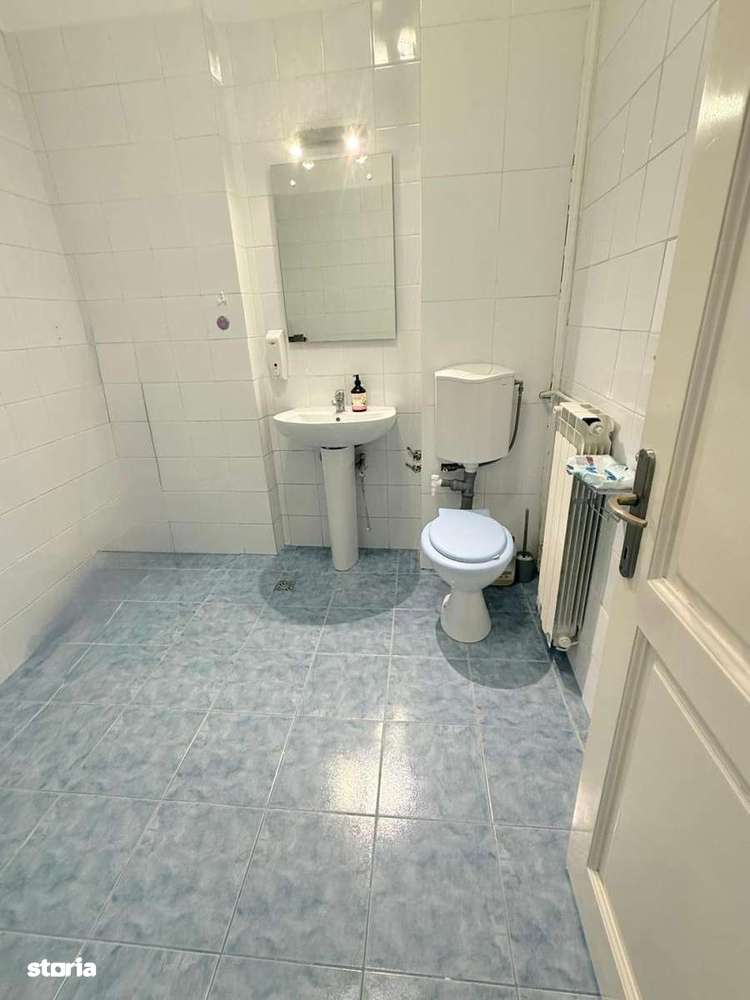 Mosilor, Vila 9 camere, ideala Birouri, Clinica, After School, 330 mp-13