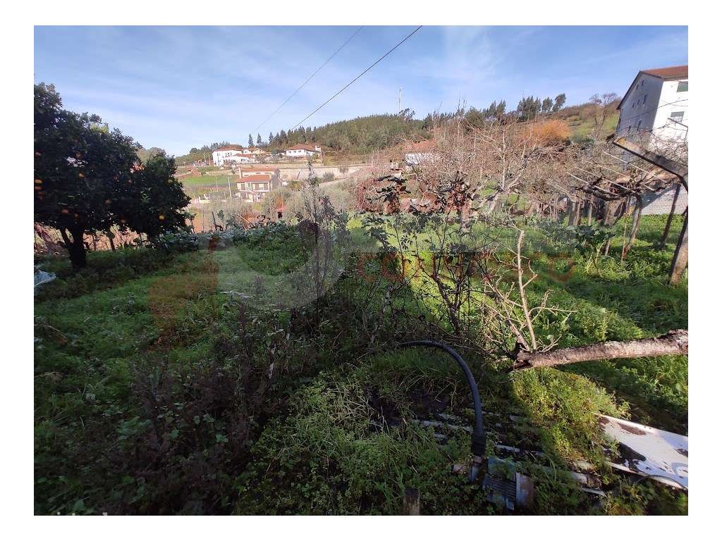 Moradia M3 com pátio e terreno com poço-16