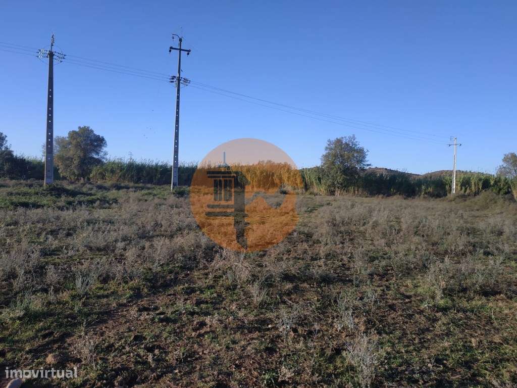 TERRENO COM RUINA - 4.960 M2 - COM NORA - ÁGUA DA BARRAGEM NA JUNQU...-21