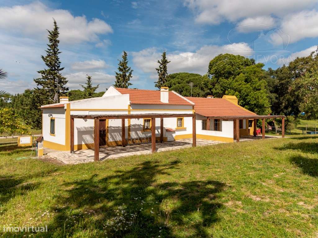 Herdade com 37 Ha com 6 Moradias para Habitação e/ou Turismo | Alcá... - Grande imagem: 5/60