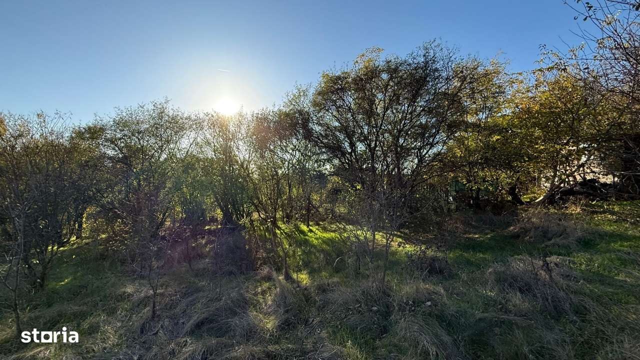 Teren I De Vanzare I Snagov - Imagine principală: 4/5