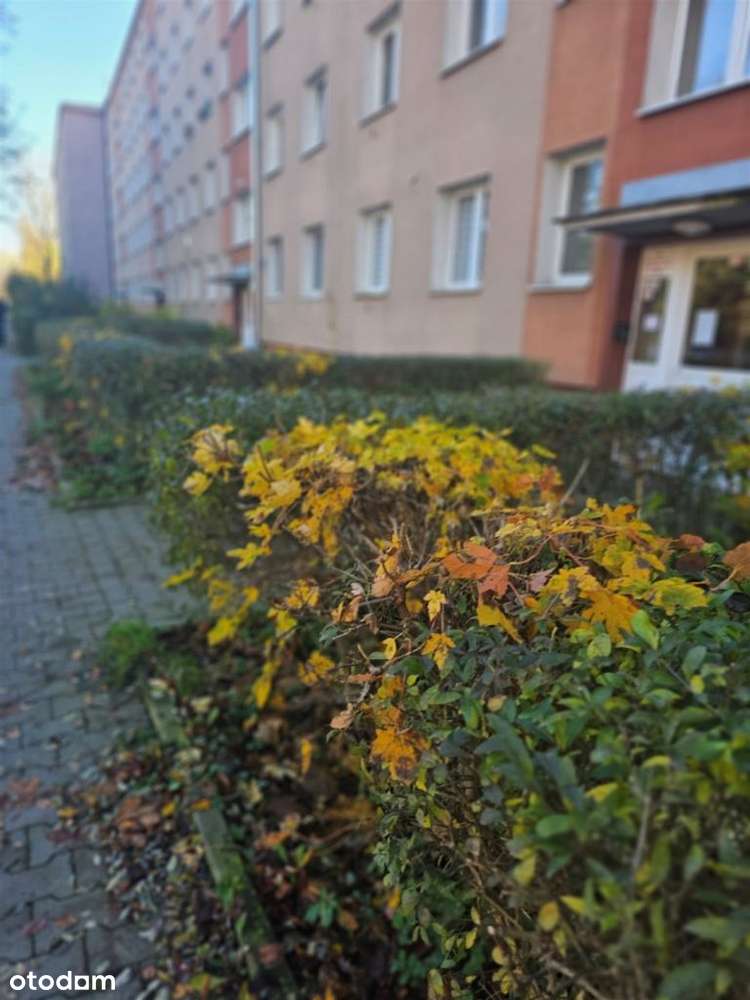 Prądnicka,2pok,idealne po Inwestycję lub by Zamieszkać,2/4,niegłupie-11