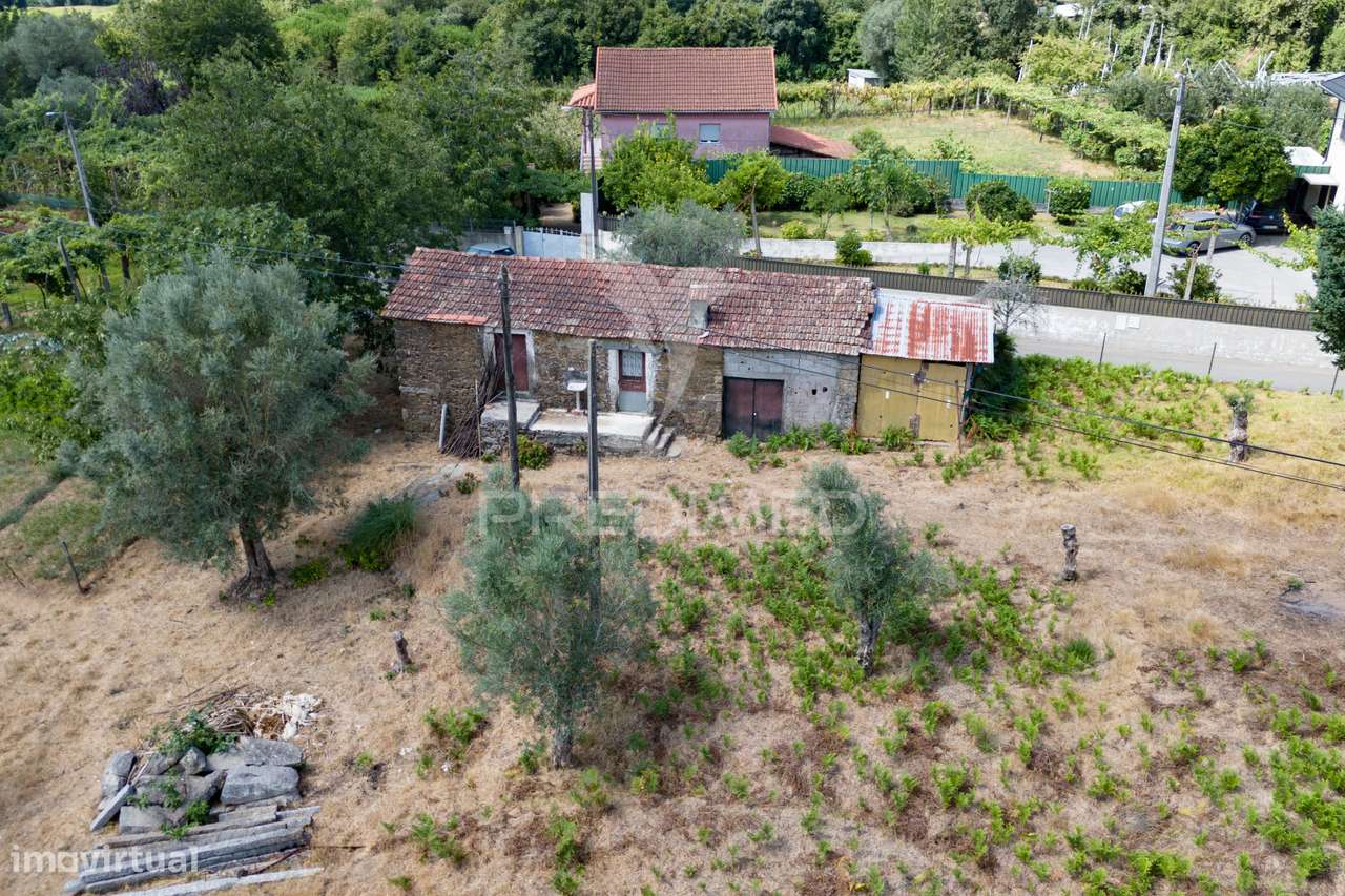 Quintinha com Casa em Xisto para Recuperar – Anais - Grande imagem: 4/13