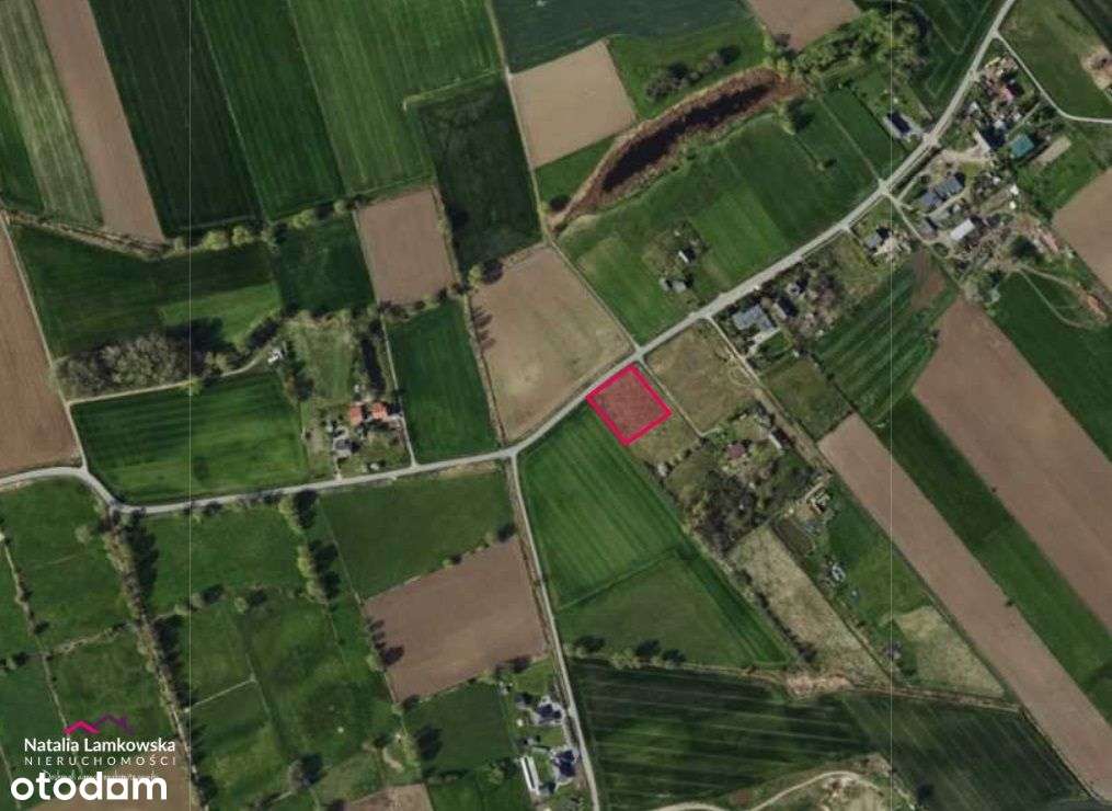 *SOSNÓWKA*duże działki rekreacyjne na sprzedaż* - Pełny obrazek: 4/7