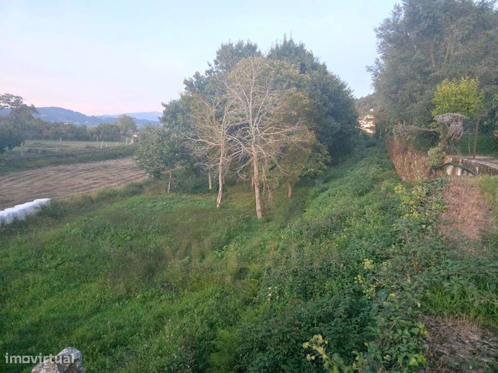 Terreno Agrícola com 3587 m² - S. Martinho da Gandra, Ponte de Lima - Grande imagem: 3/4