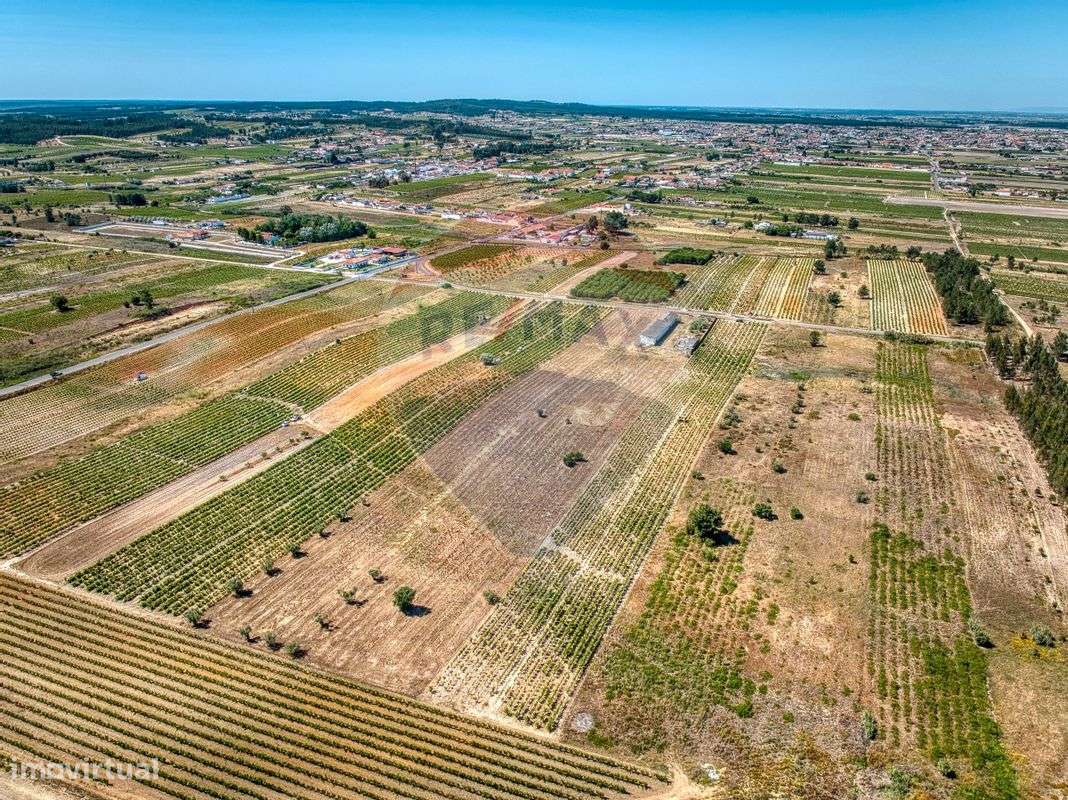 Armazém  para venda - Grande imagem: 4/31