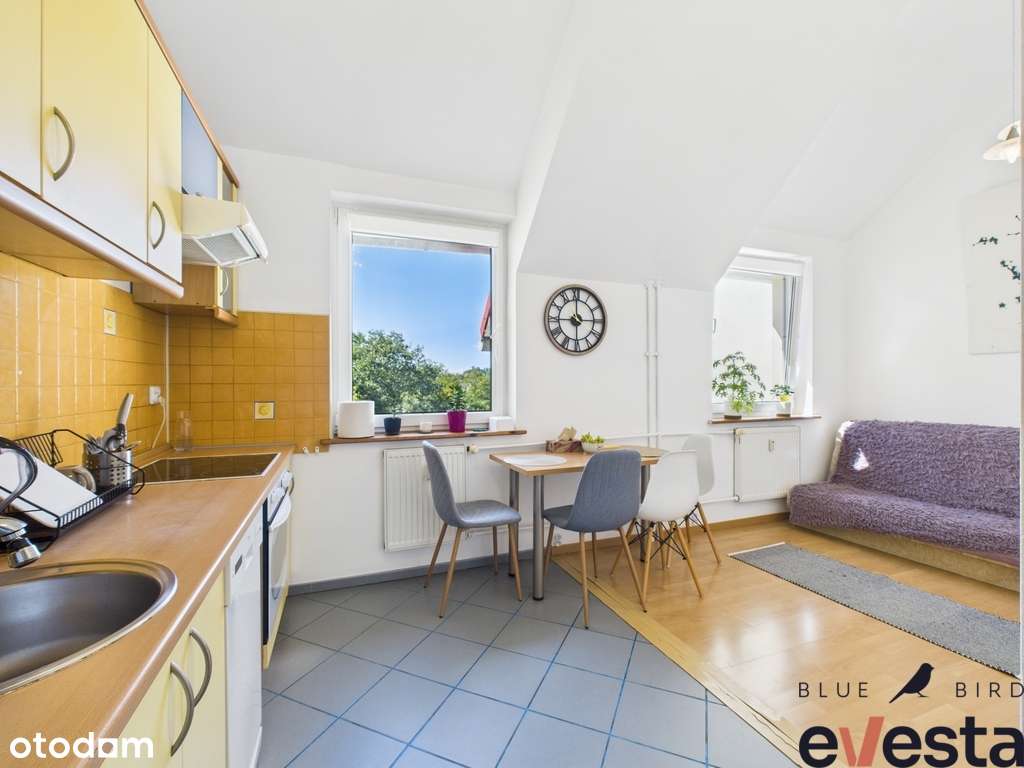 Stabłowice / Wrocław /2 pok / Zielona okolica - Pełny obrazek: 4/13