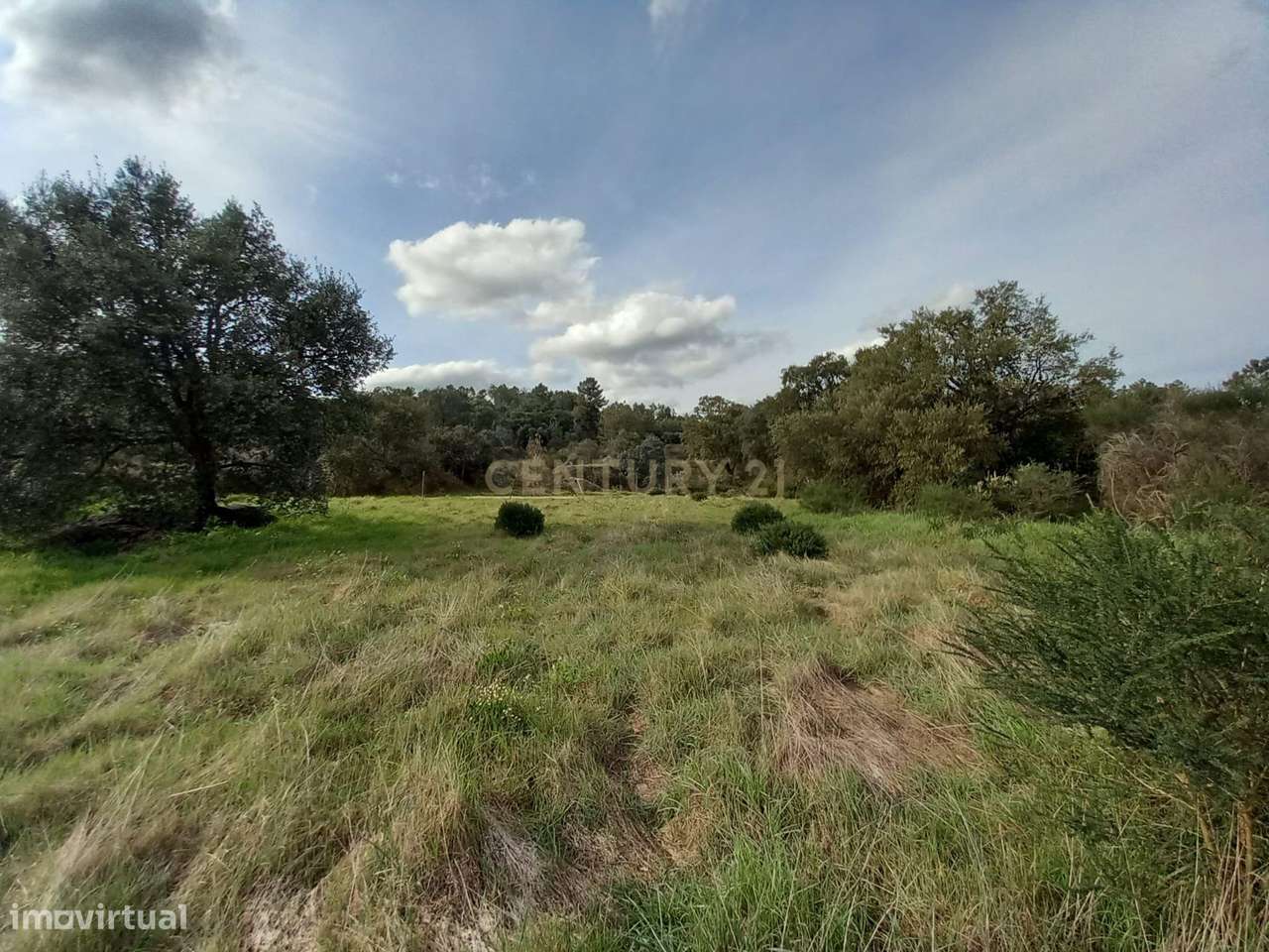 Terreno Rústico Póvoa e Rio de Moinhos, Castelo Branco. - Grande imagem: 4/14