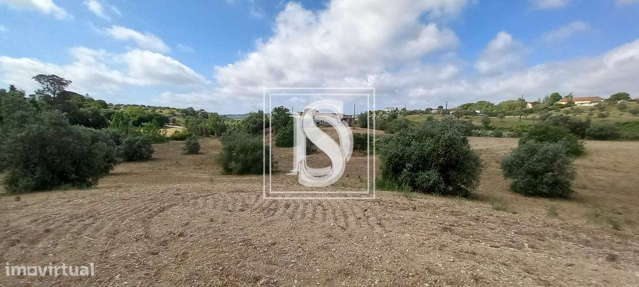 Quinta T2 em UDF de Romeira e Várzea - Grande imagem: 2/29