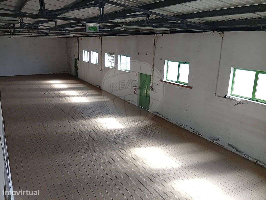 Armazém  para arrendamento - Grande imagem: 4/8