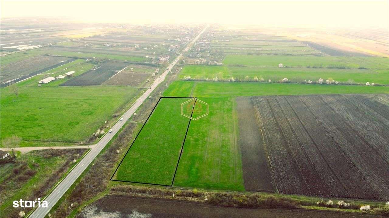 Teren cu front 209 m la DN19 | Logistica - Servicii | 13 km Satu Mare - Imagine principală: 3/7