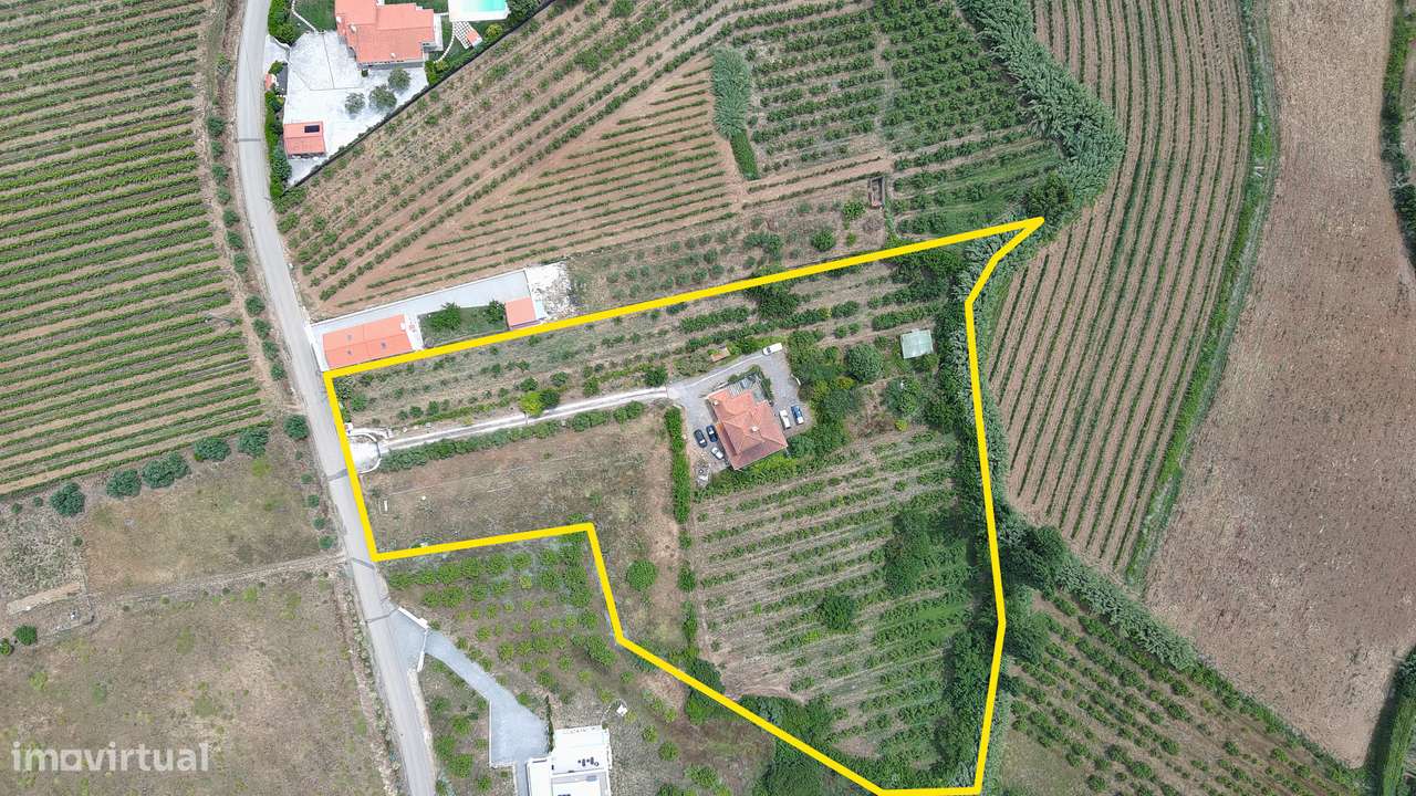 Herdade com 13.360m2 no Bombarral-5