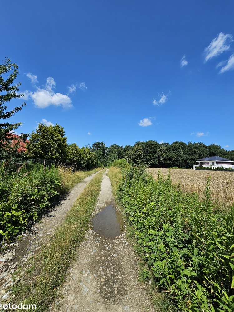 Segment z dużym ogrodem- Żurawiniec k. Wrocławia- gotowy w 2026-9