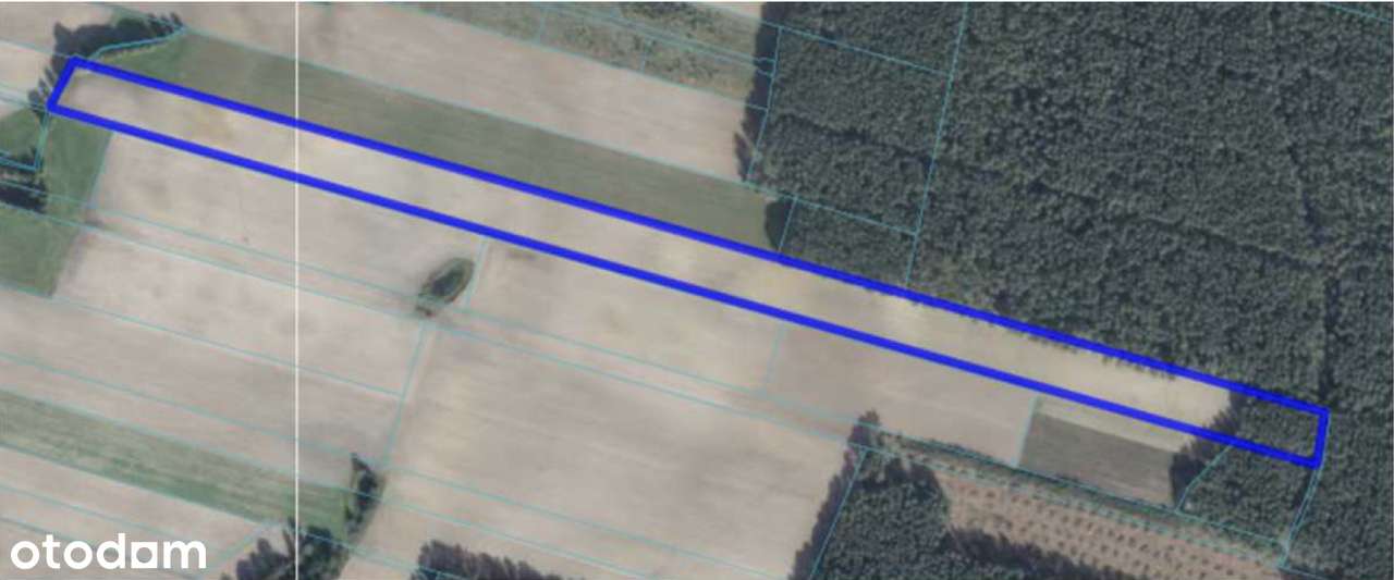 Syndyk sprzeda – udział w nieruchomości gruntowej w Romanowie Dolnym - Pełny obrazek: 5/5