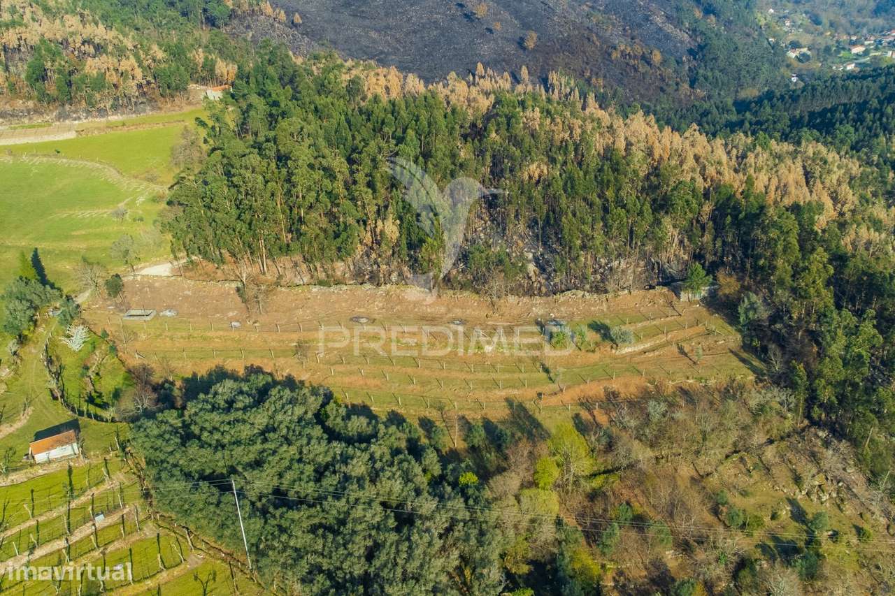 TERRENO COM CASA RUSTICA - VALDOSENDE, RIO CALDO, GERÊS - Grande imagem: 4/27