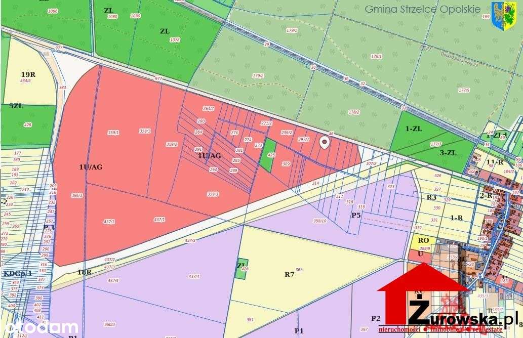 Działka, 9 650 m², Warmątowice-2
