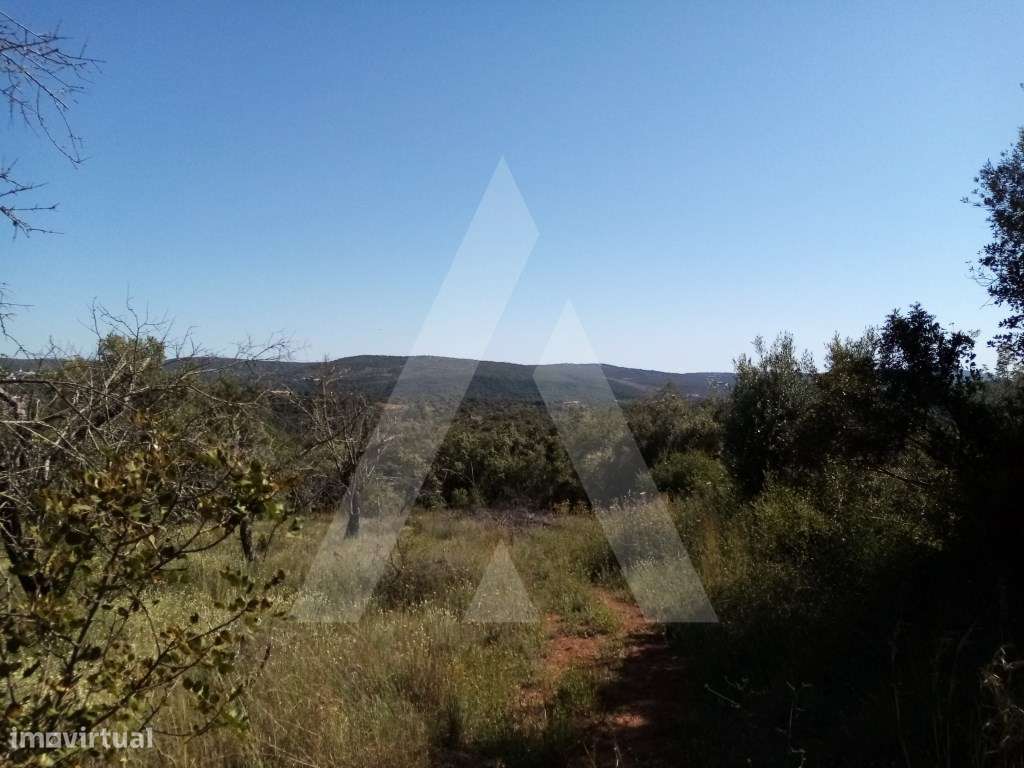 Land for sale in Loulé, Portugal — €318,500