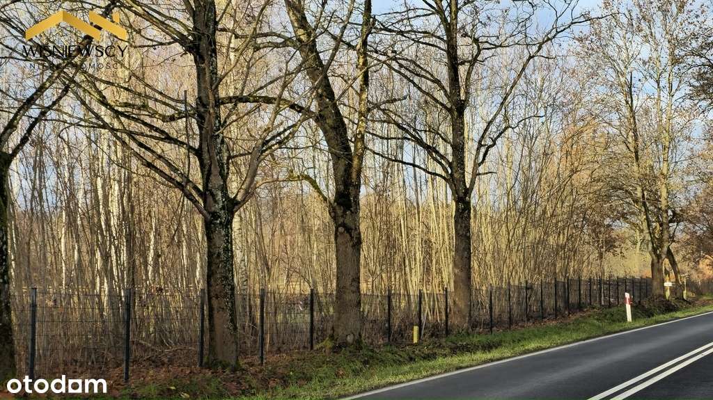Dawidy – duża działka 0,5306 ha (WZ) - Pełny obrazek: 4/19