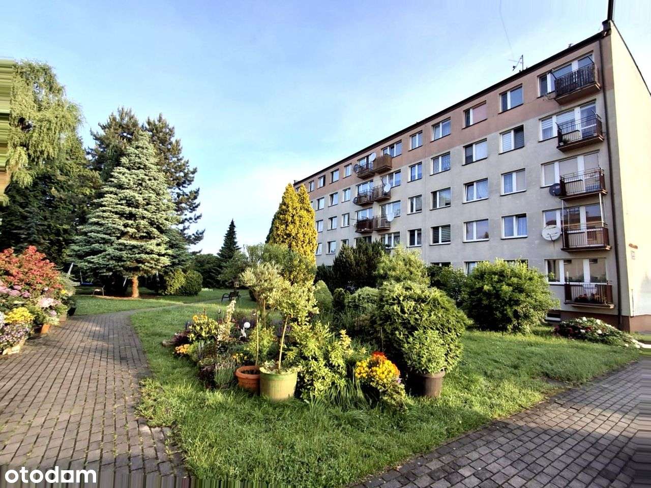 4 pokoje, 72,3 m2, słoneczne, w spokojnym, zielonym otoczeniu. - Pełny obrazek: 1/6