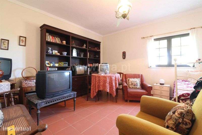 Monte no Alentejo - Oportunidade de Investimento - Grande imagem: 5/12