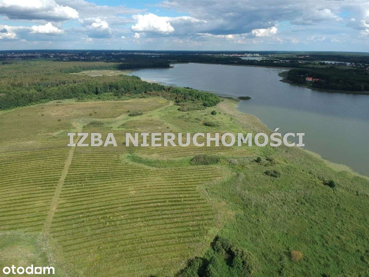 Działka, 3 000 m², Szarek - Pełny obrazek: 4/20