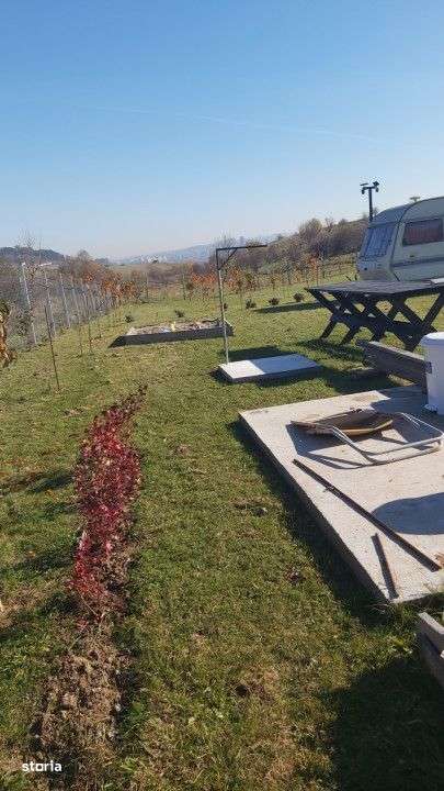 Teren extravilan 1000mp Centura nord - Imagine principală: 5/6