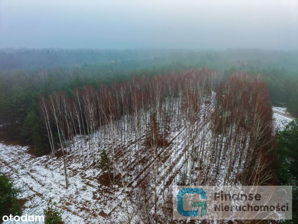 Działki budowlane po 1500 m² – Dąbrówka - Pełny obrazek: 5/14
