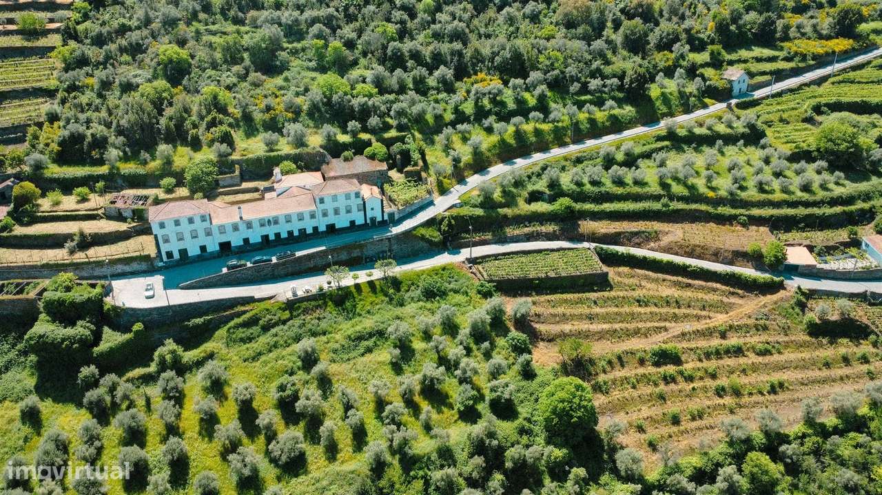 Quinta com Casa senhorial brasonada do Século XVIII na região do Douro - Grande imagem: 4/57