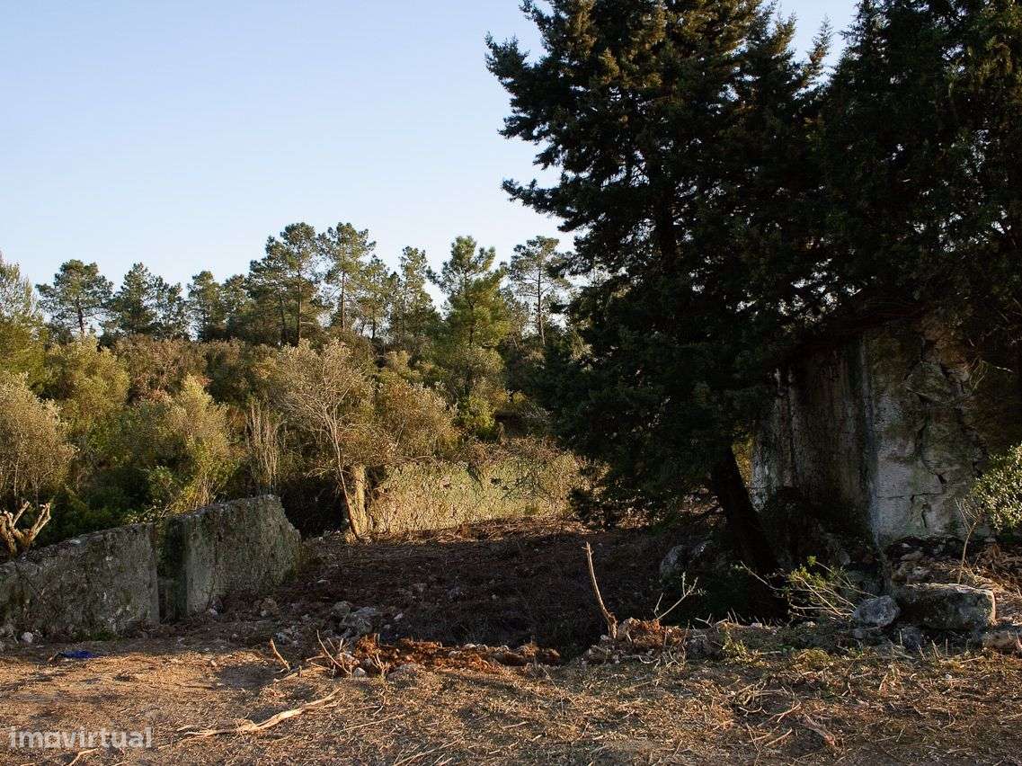 Quinta com 14.754 m2 para Reconstruir - Grande imagem: 5/19