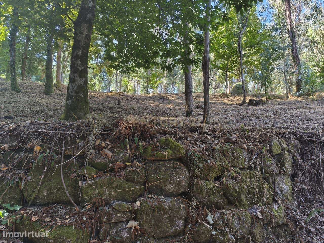 Terreno Rústico com 5.720m² no Gerês, Excelente Acesso e Proximidade a - Grande imagem: 4/12