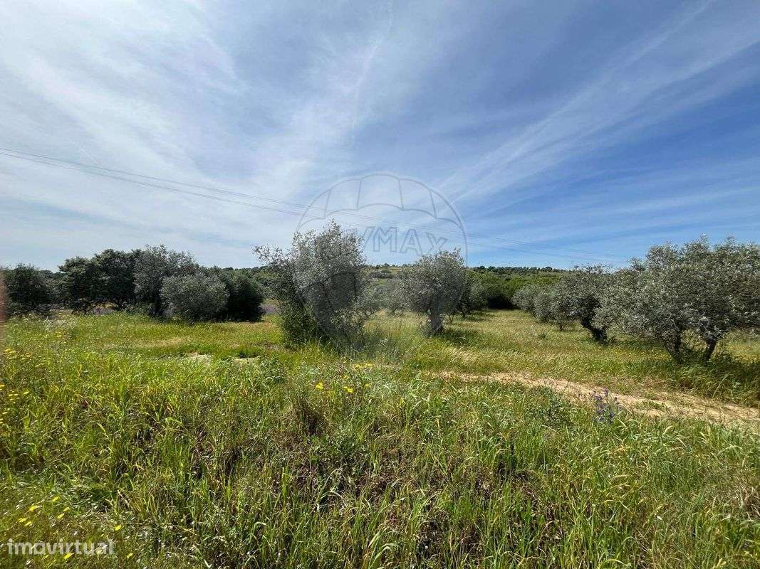 Terreno  para venda - Grande imagem: 3/12