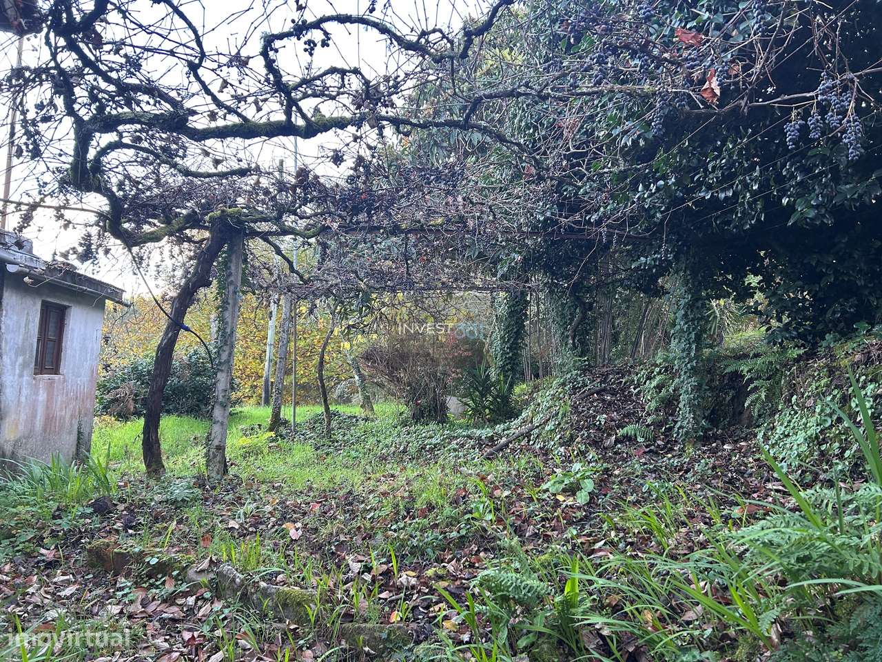 Investimento com charme rural:  casa de pedra e 3.780 m² de terreno em - Grande imagem: 4/26