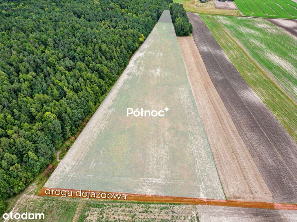 3,71 ha ziemi rolnej  część zalesiona | Depułtycze Królewskie-3