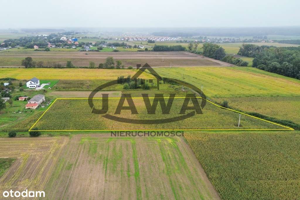 Czarnowo/ 3 działki inwestycyjne/ war. na 11 domów - Pełny obrazek: 4/7