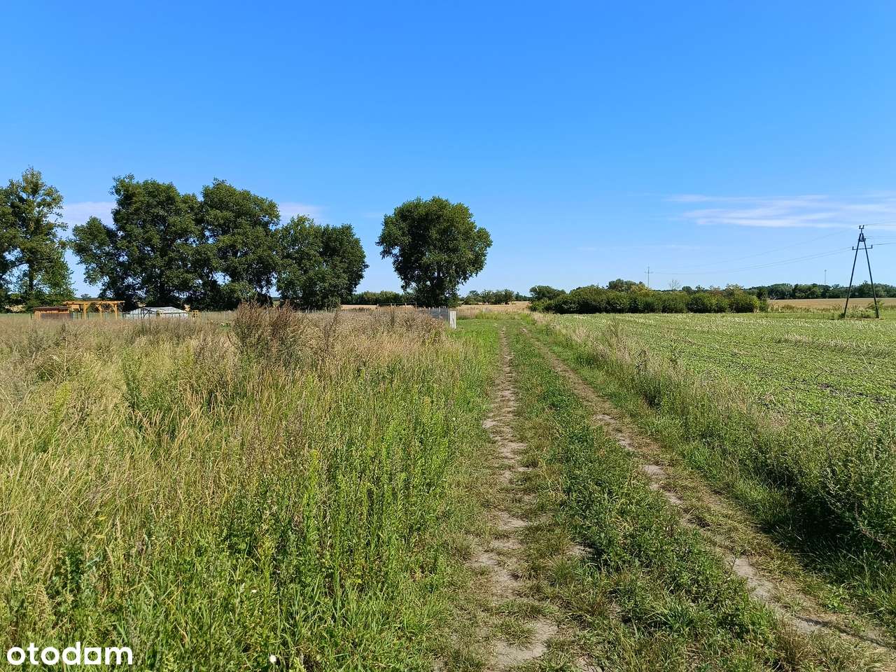 Działki budowlane na sprzedaż – idealna inwestycja pod Poznaniem-1